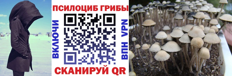 Псилоцибиновые грибы Psilocybine cubensis Муром